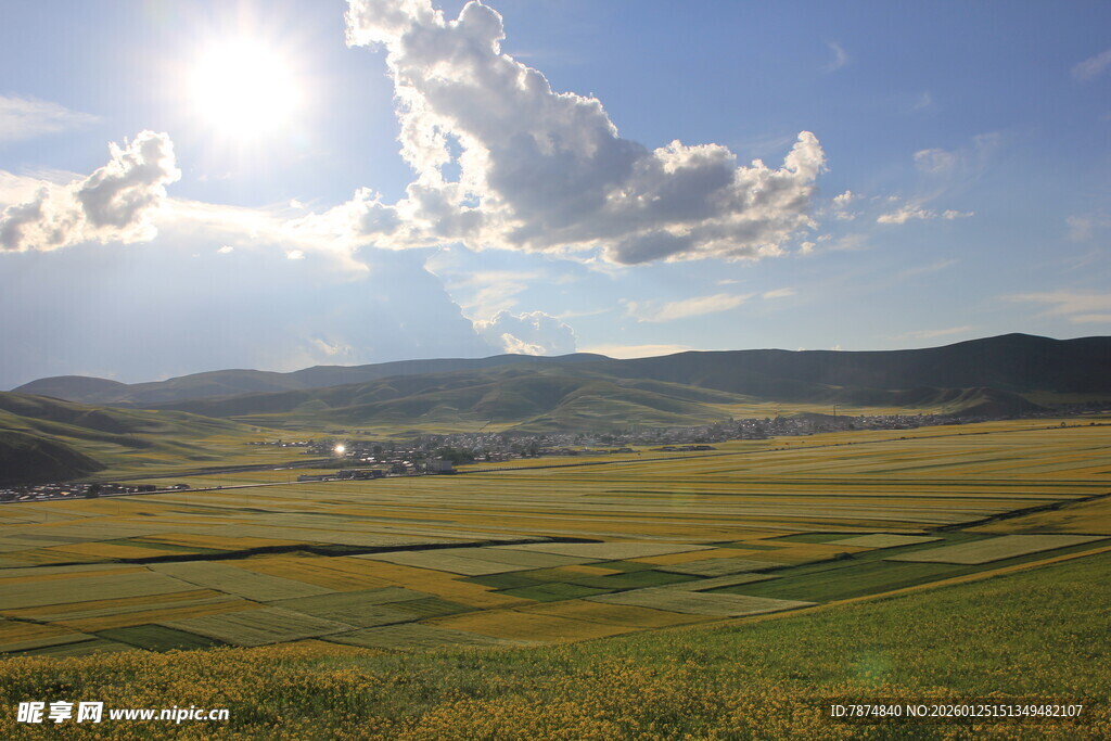 草原风光 阳光洒落天地间