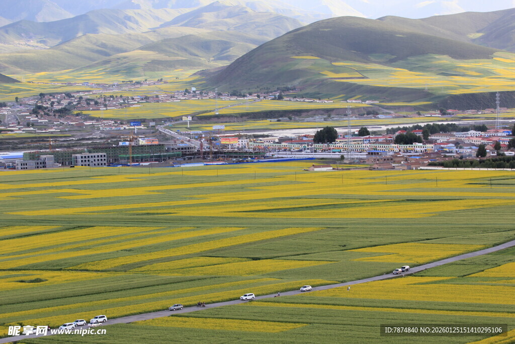 金黄油菜田与远山村落