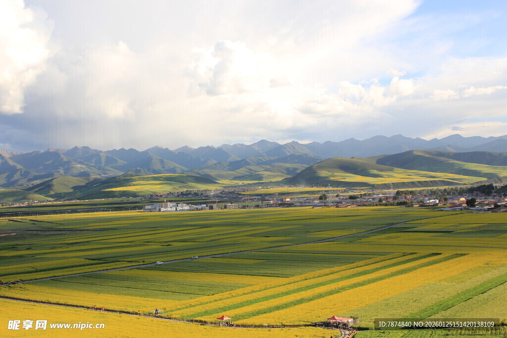 田园风光 金黄田野与远山