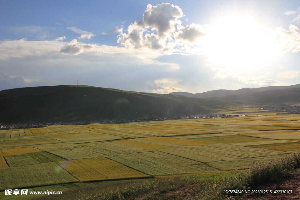 田园风光 阳光照耀的田野