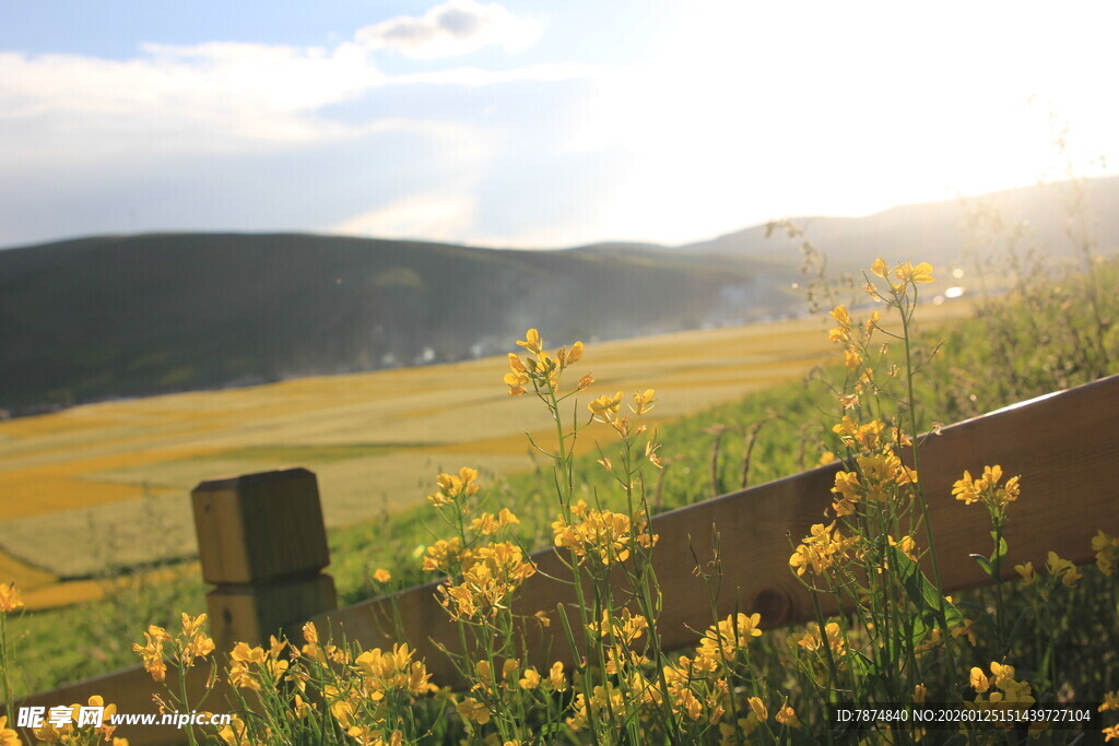 夕阳下的田野与木栅栏