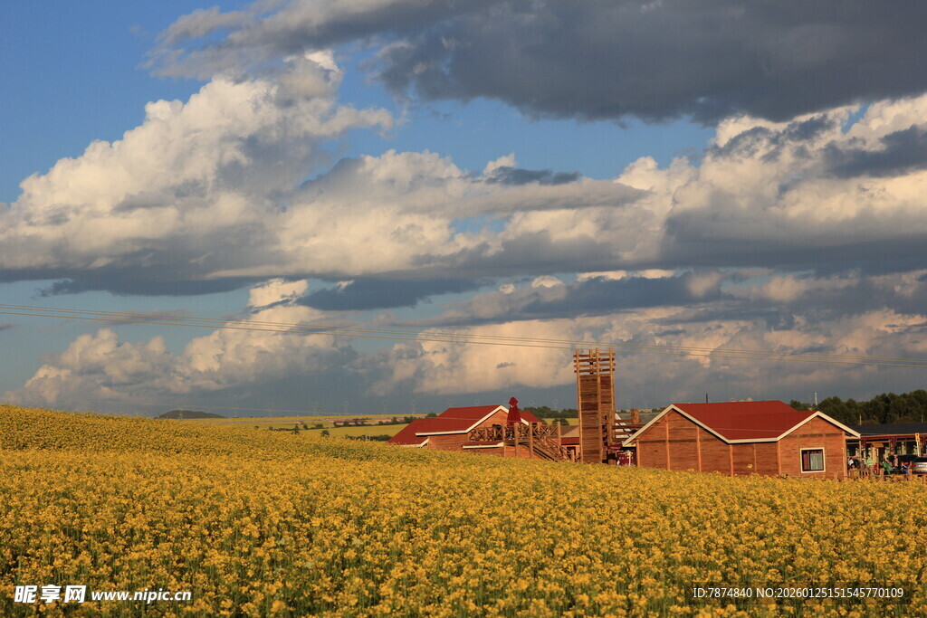 金黄田野中的红顶建筑