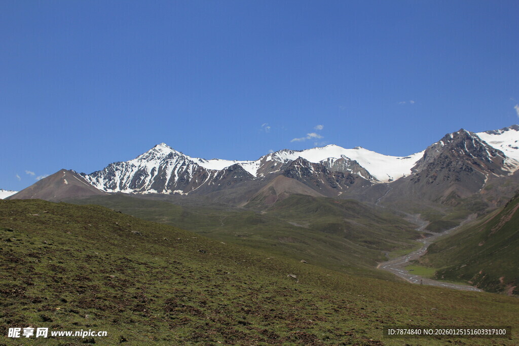 雪山下的开阔山地景观