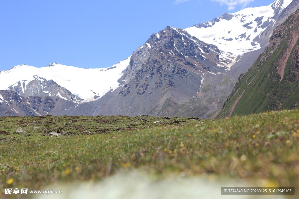 雪山下的翠绿草地景观