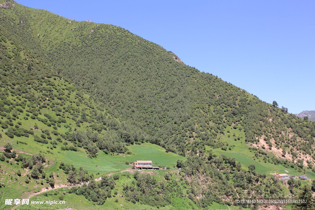 青山绿野间的宁静景致