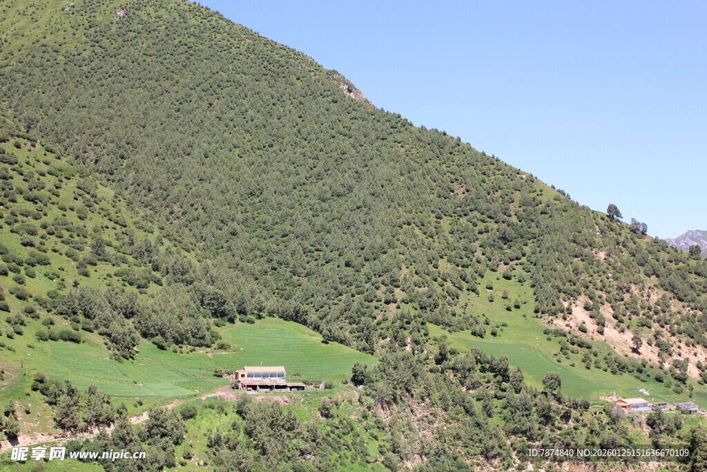 山间绿野中的静谧小屋