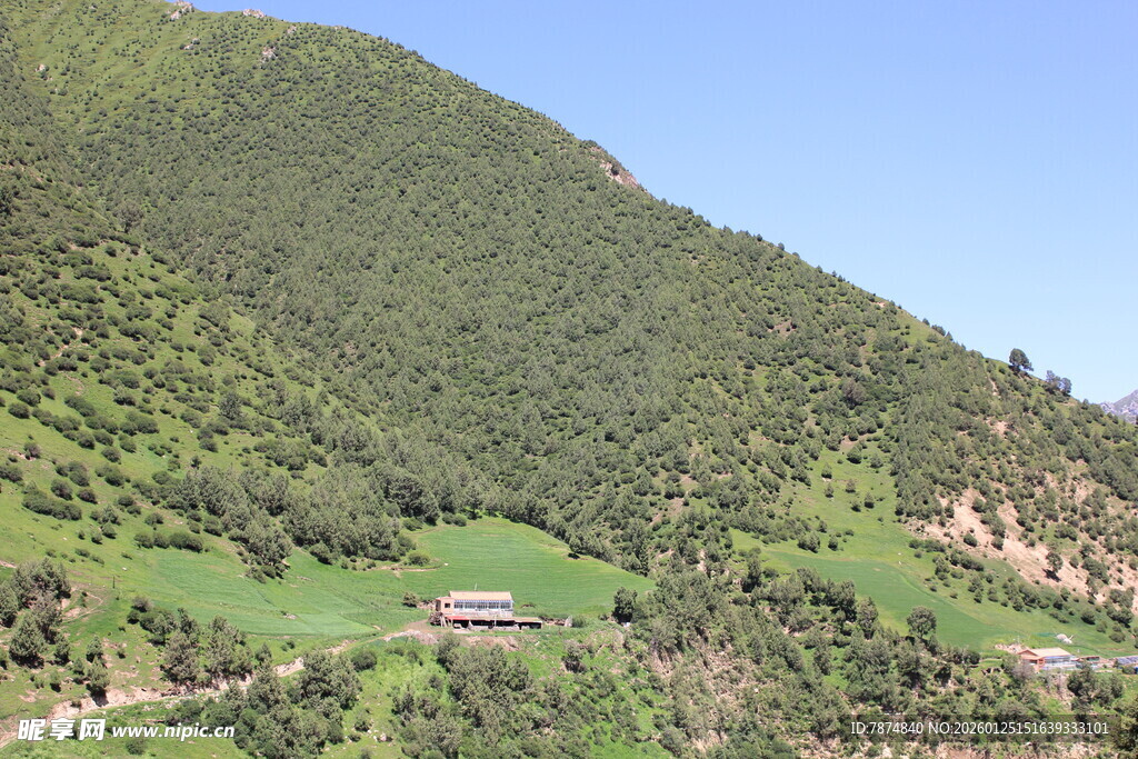 山间绿野中的静谧小屋