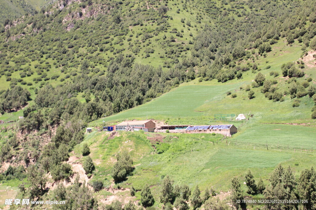 山间绿野中的静谧建筑