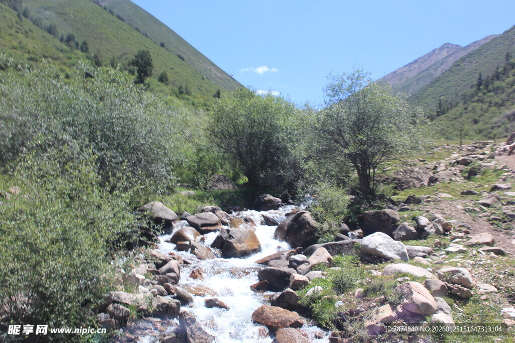 山间溪流穿林而过