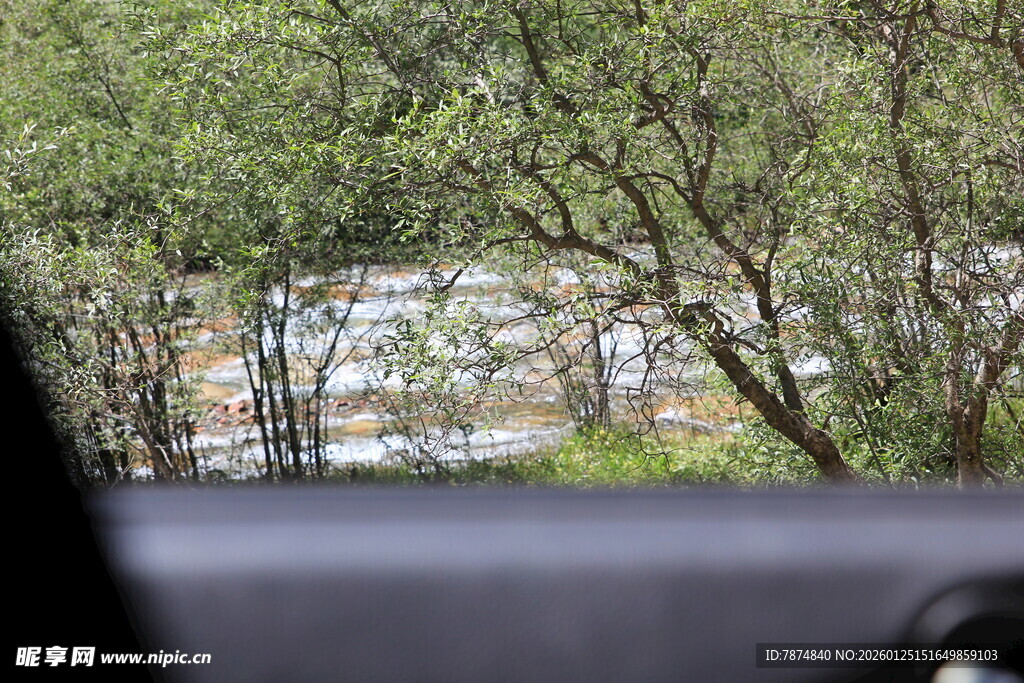 车窗外的绿意与建筑景观