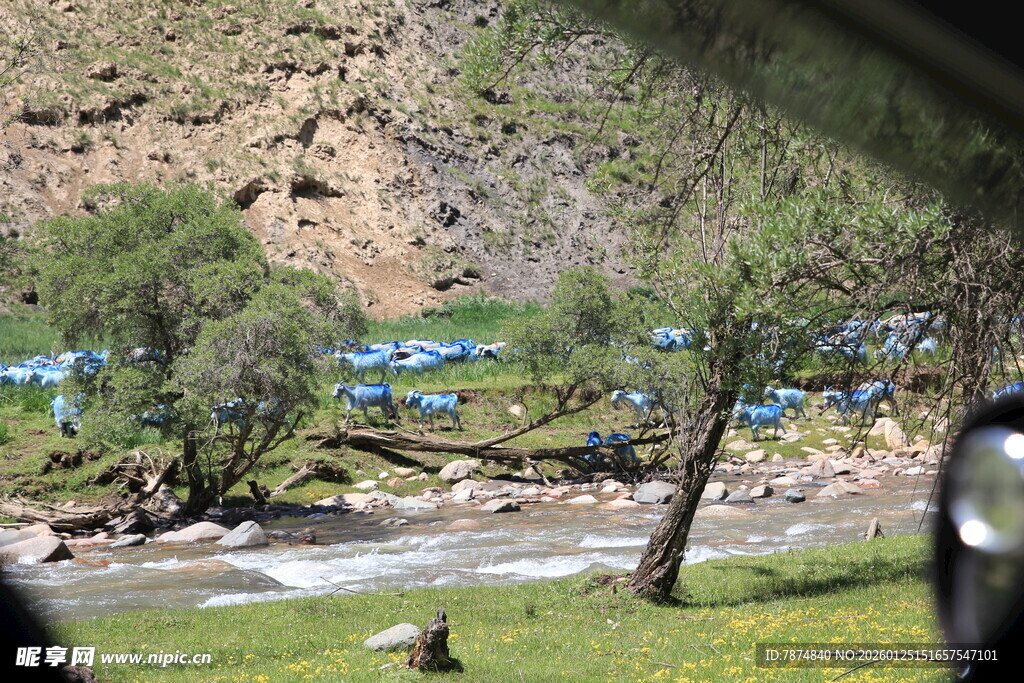 山间溪流旁的蓝色帐篷