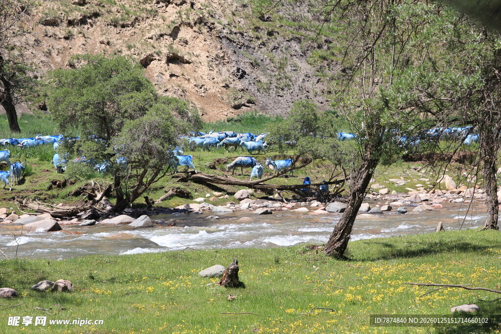 山间溪流旁的自然景致