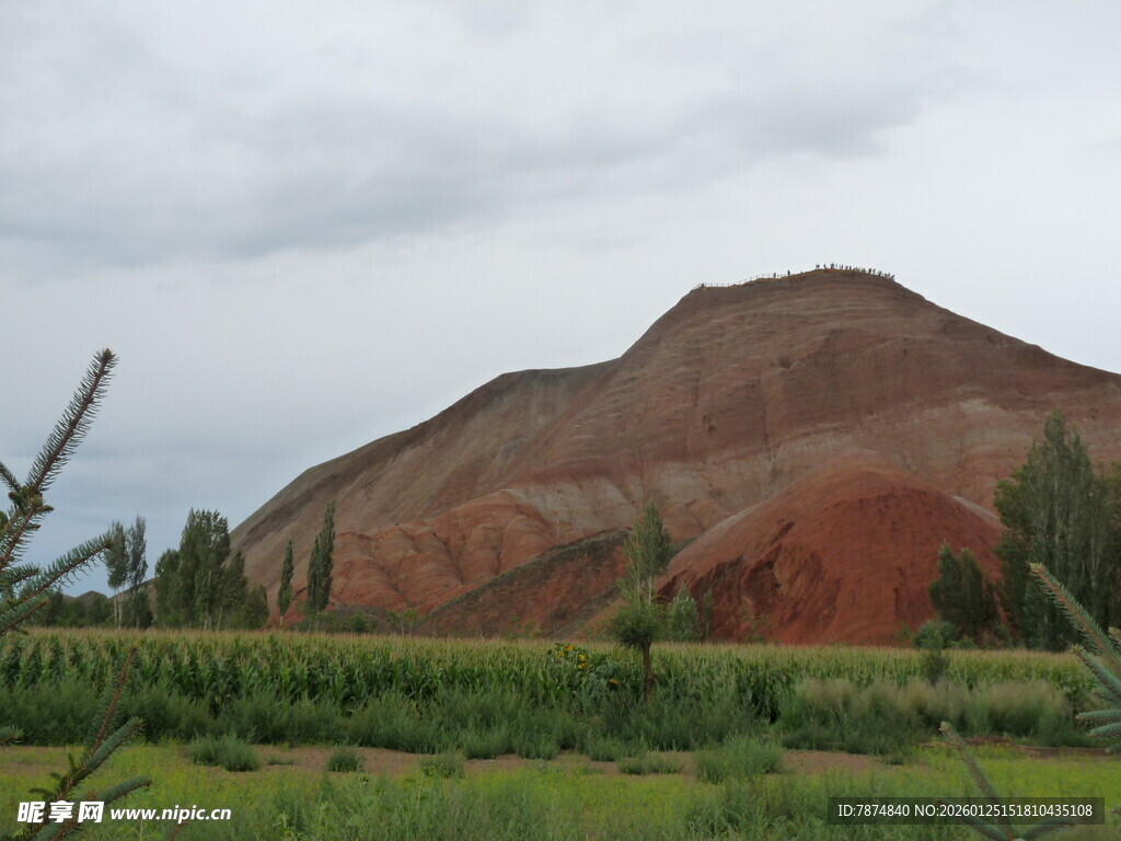 多彩山丘下的田园风光