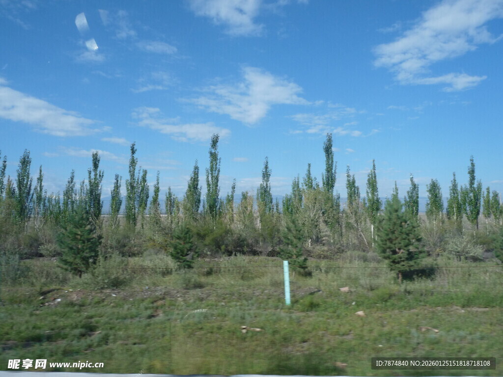 蓝天绿树的户外风景