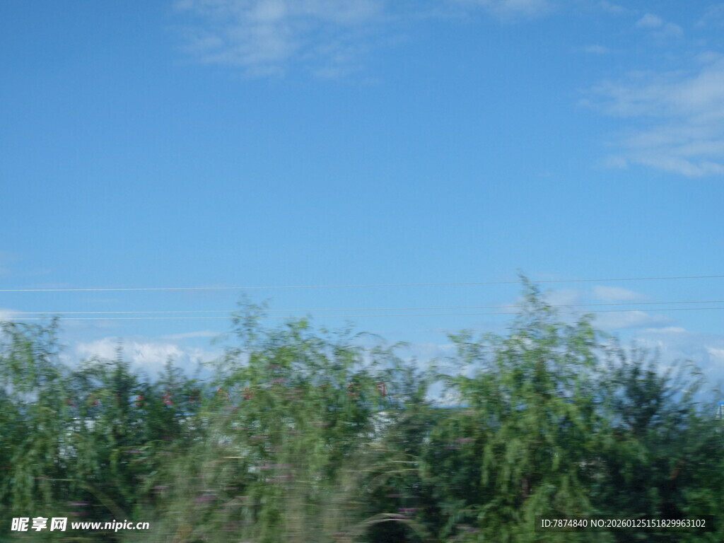 蓝天绿树自然风景图