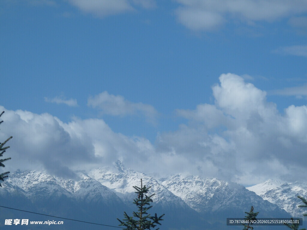 蓝天白云下的雪山与树木