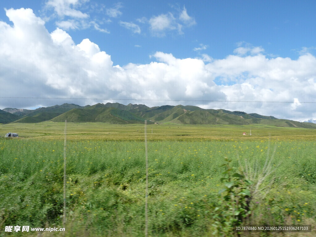 草原风光 蓝天白云青山
