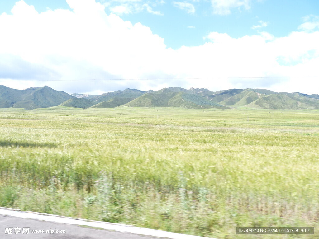 公路旁广袤绿野与远山