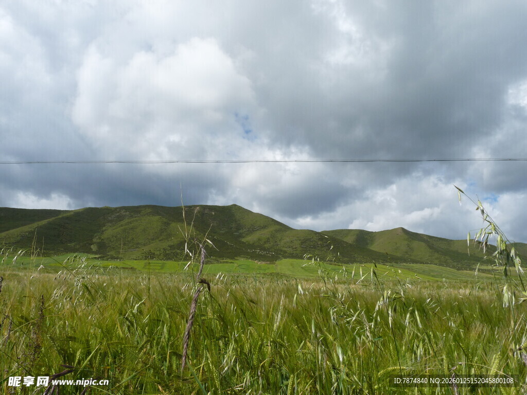 草原风光 云下绿野