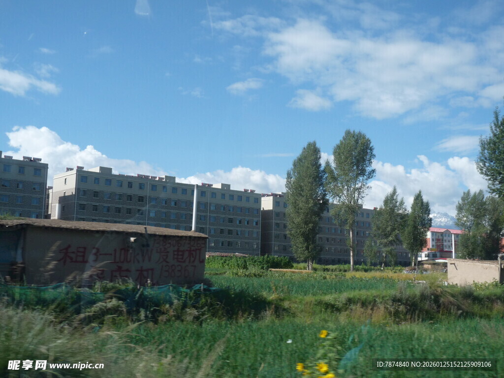 乡村田野旁的楼房景观