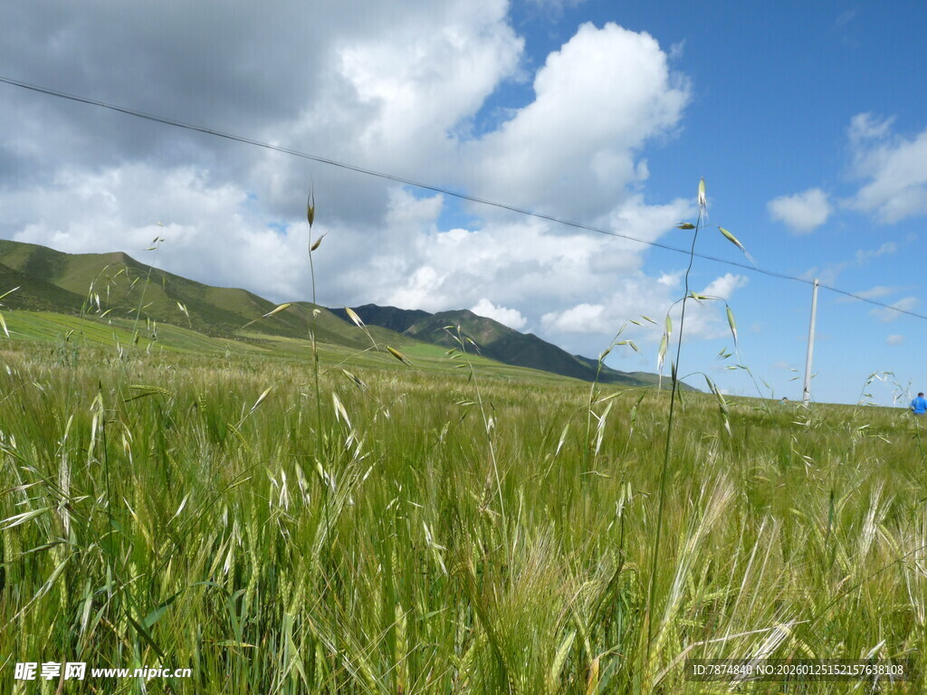 草原风光 风车与蓝天白云