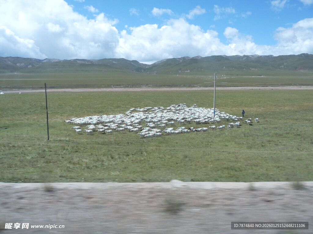 草原上的白色石堆景观