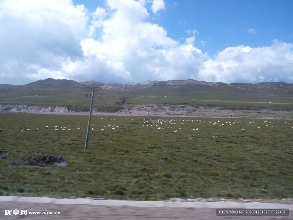 草原风光 蓝天白云下的绿野