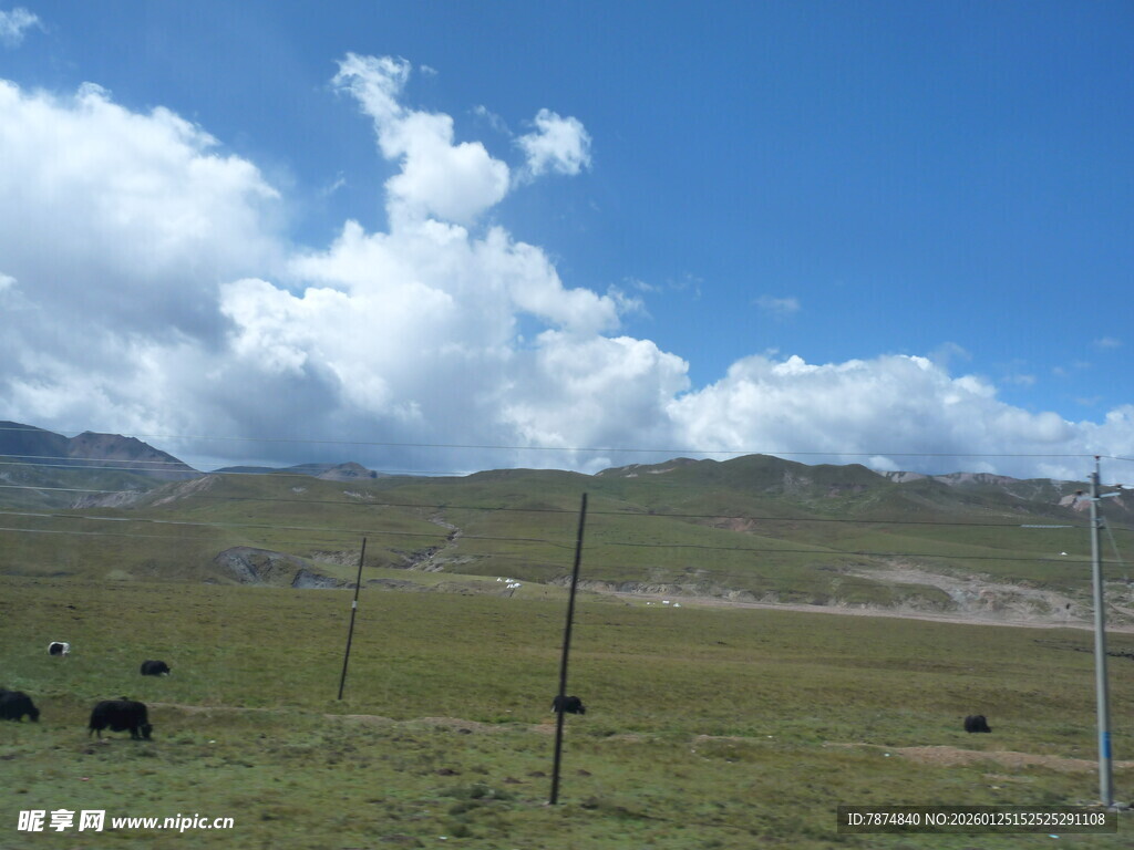 草原风光 蓝天白云下的牧场