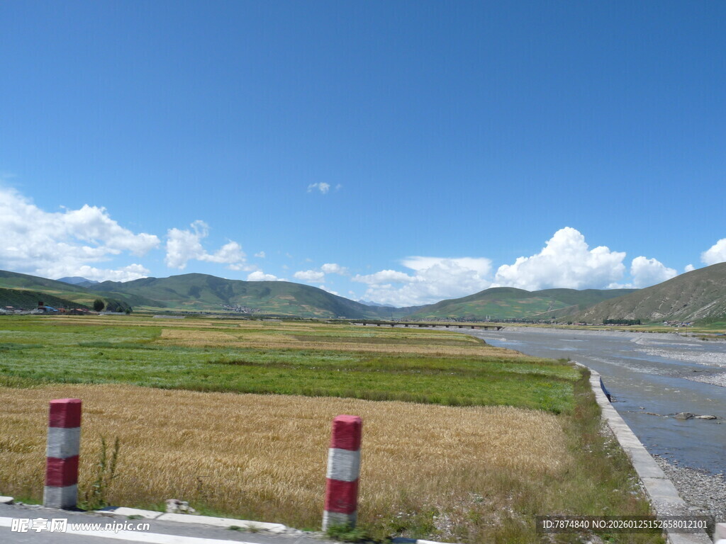 乡村公路边的田园风光