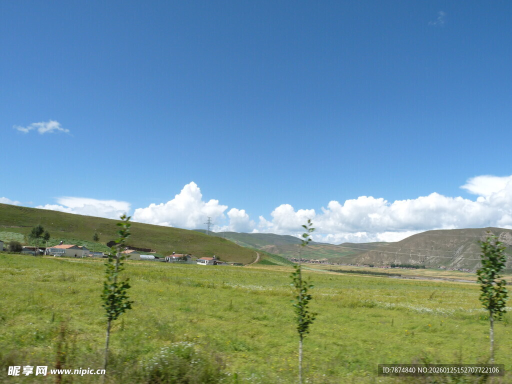 草原风光 蓝天白云下的绿意