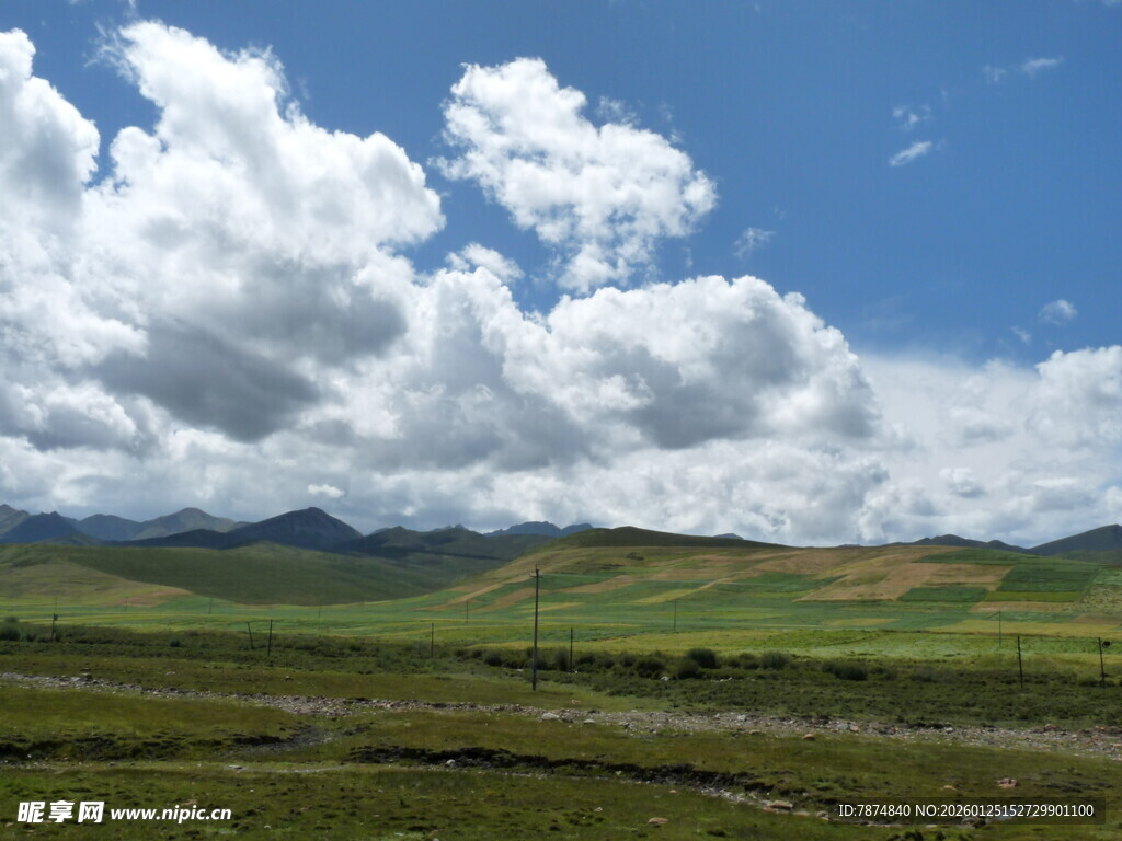 蓝天白云下的广袤草原