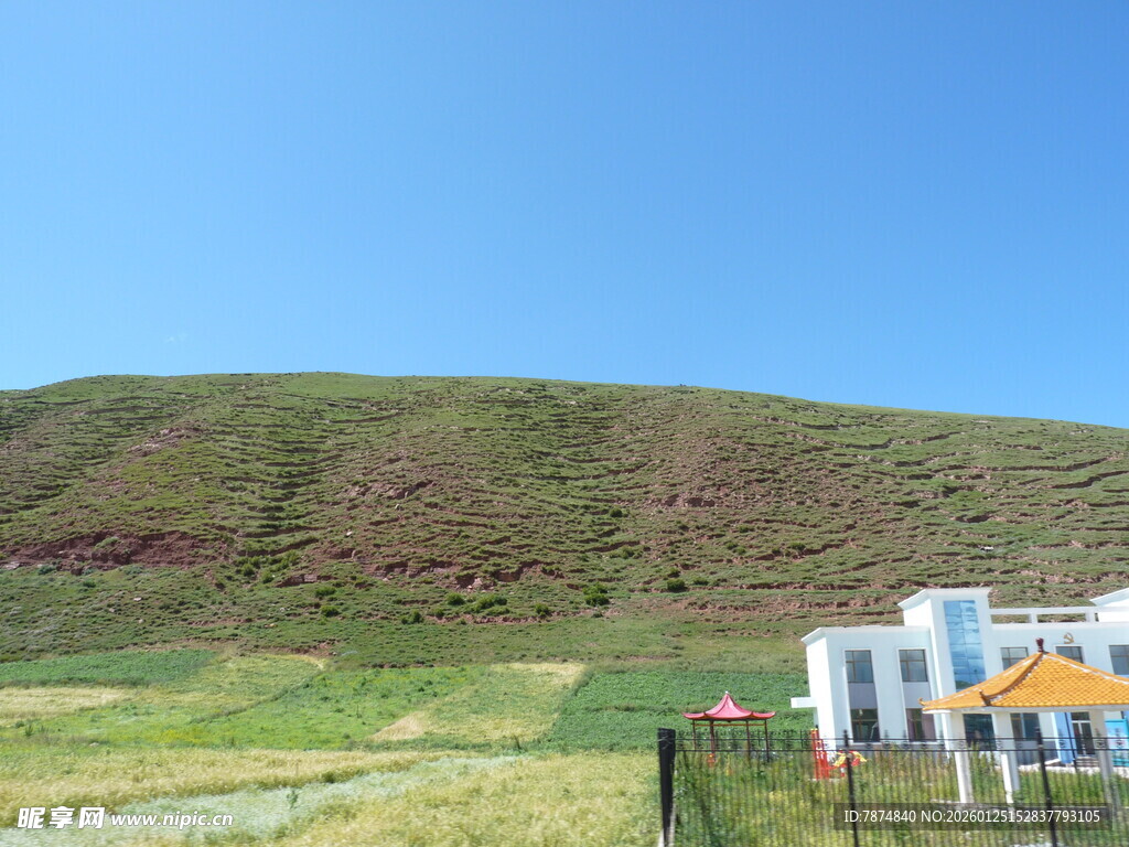 草原风光与白色建筑