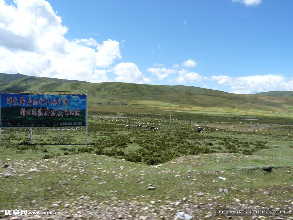 草原上的蓝色醒目广告牌