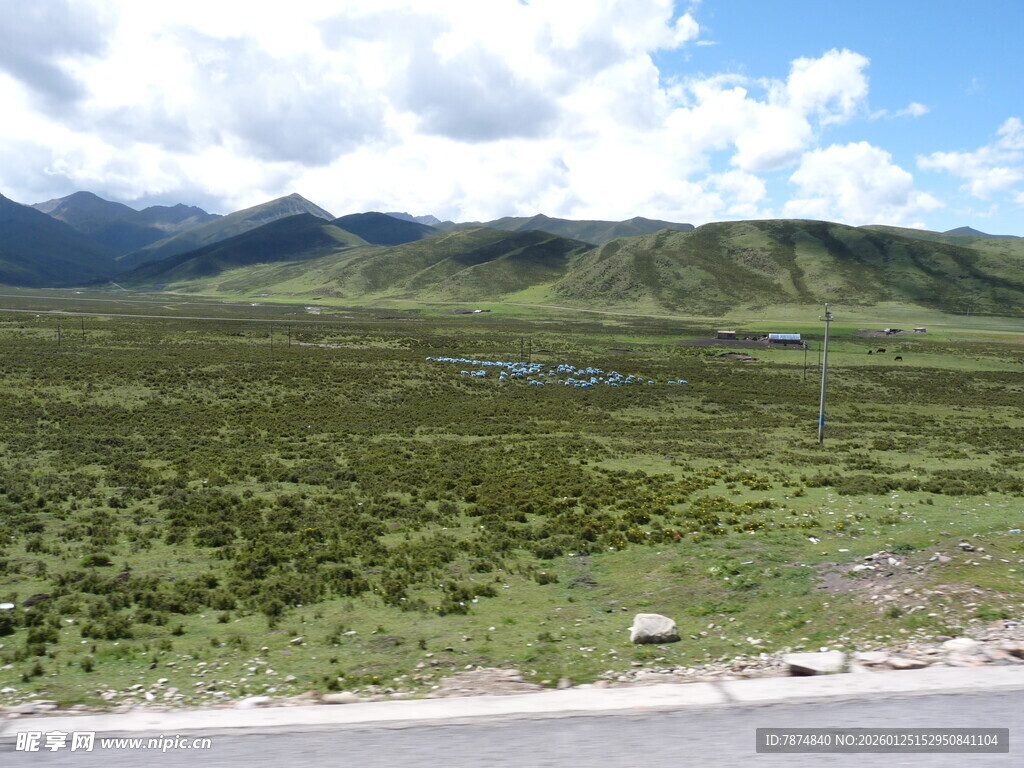 公路旁的广袤绿色山野