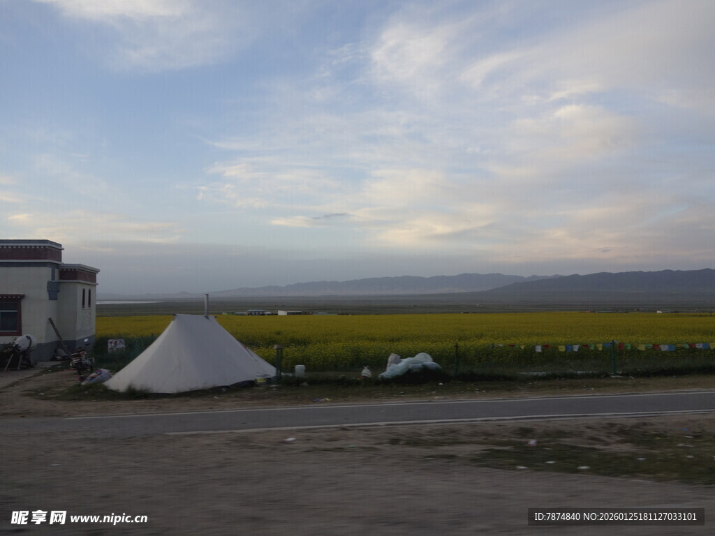 田野边的白色帐篷景观