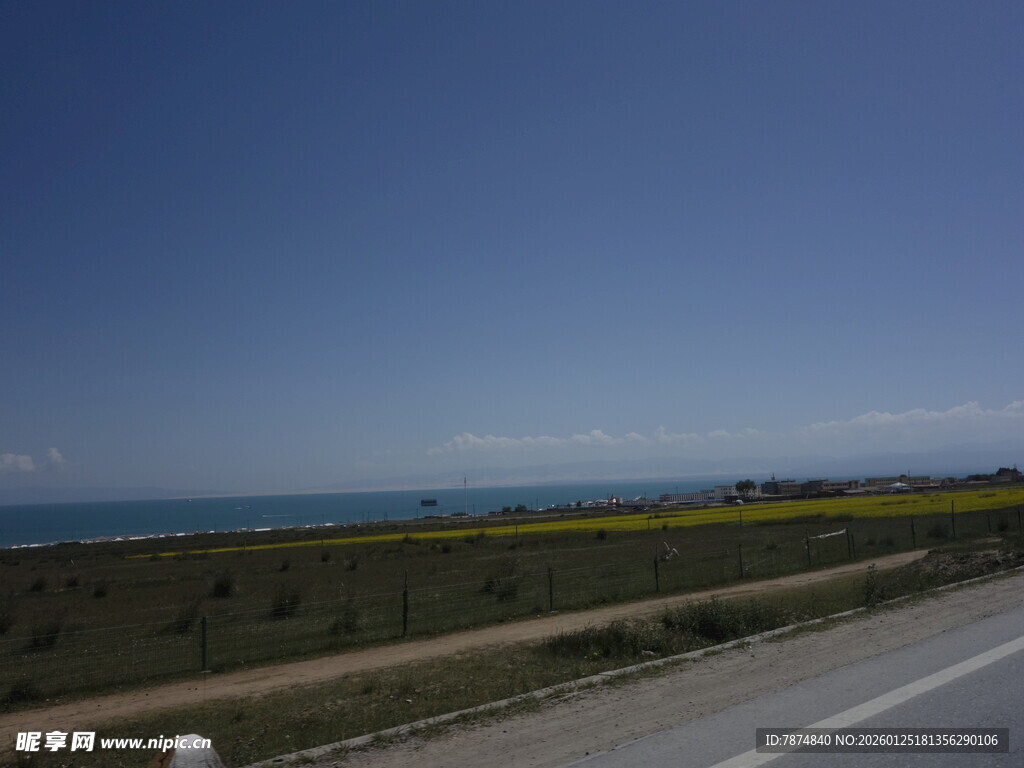 公路旁的蓝天与烂漫花田