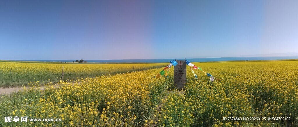 田野中赏彩虹的孤独身影