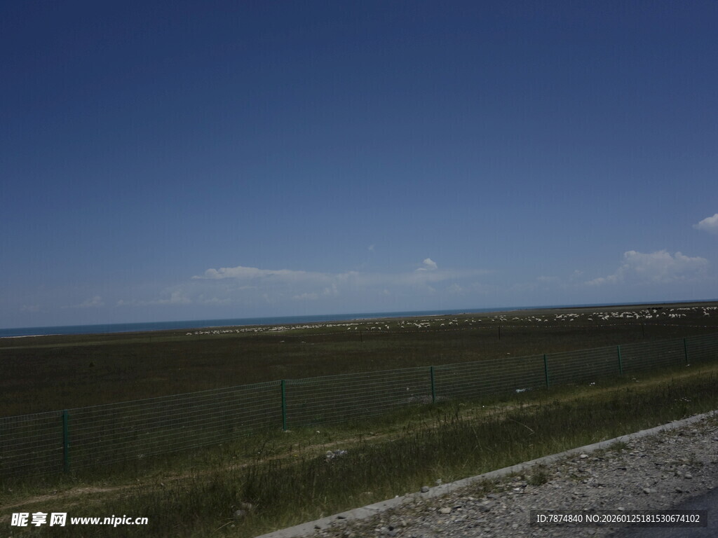 公路旁的广袤原野与蓝天