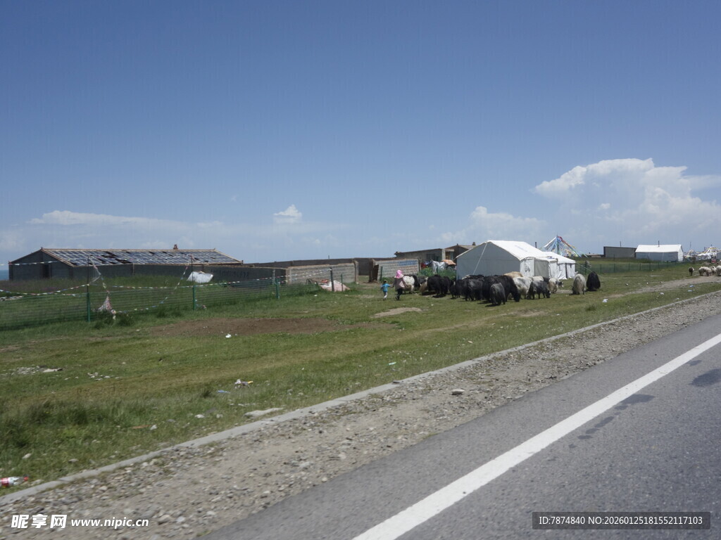 公路旁的开阔田园景象