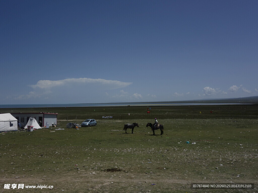 草原上的帐篷与马匹