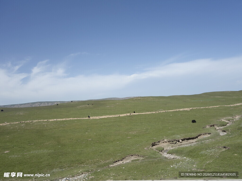 草原风光 开阔天地美景