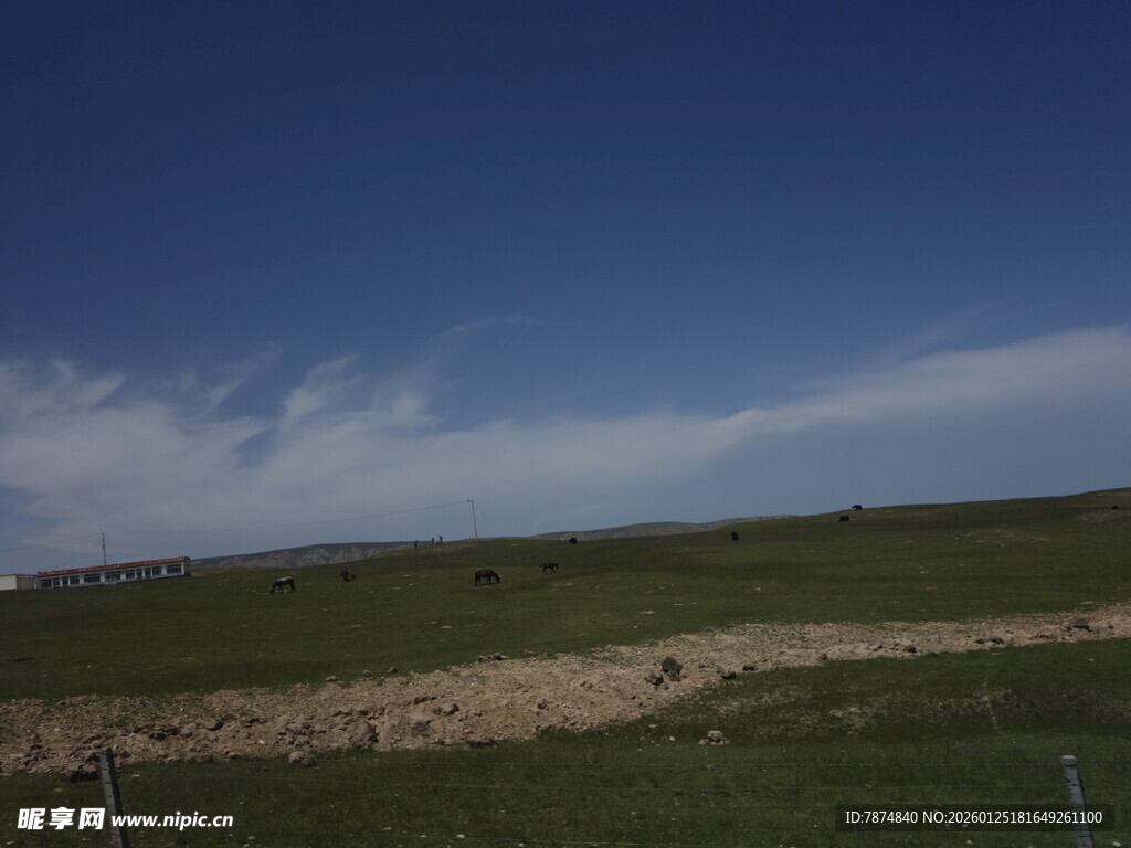 草原蓝天风景图