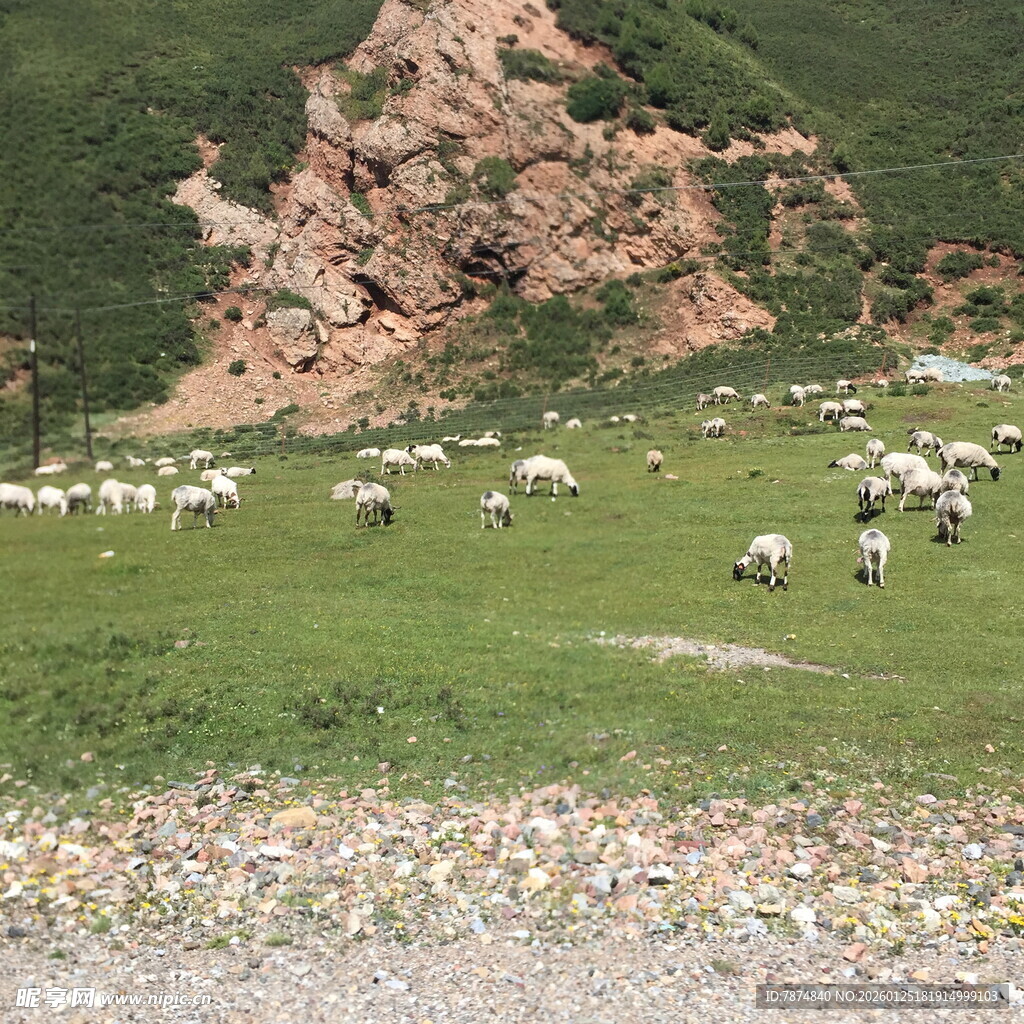 草原羊群与远处红岩景观