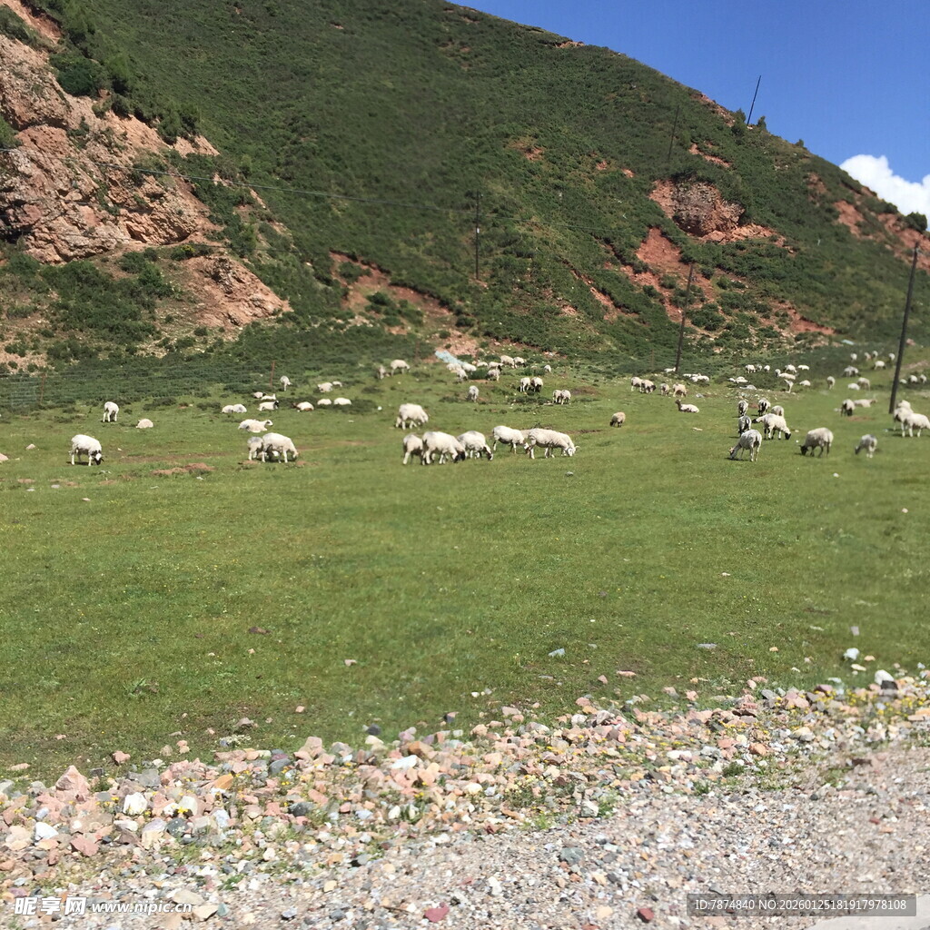 草原羊群与远山美景