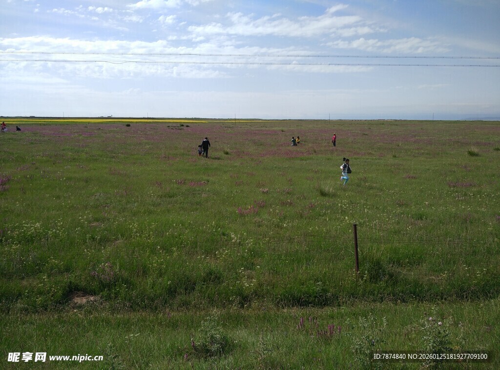 草原风光 悠然放牧场景