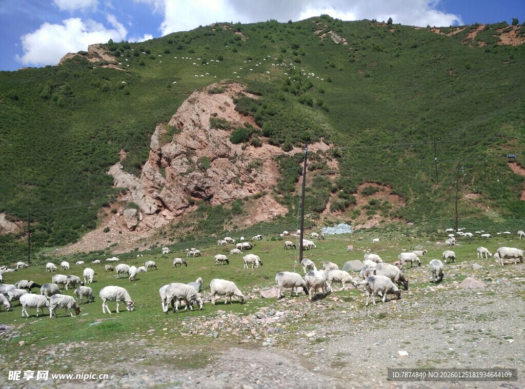 山坡上的羊群与岩石景观