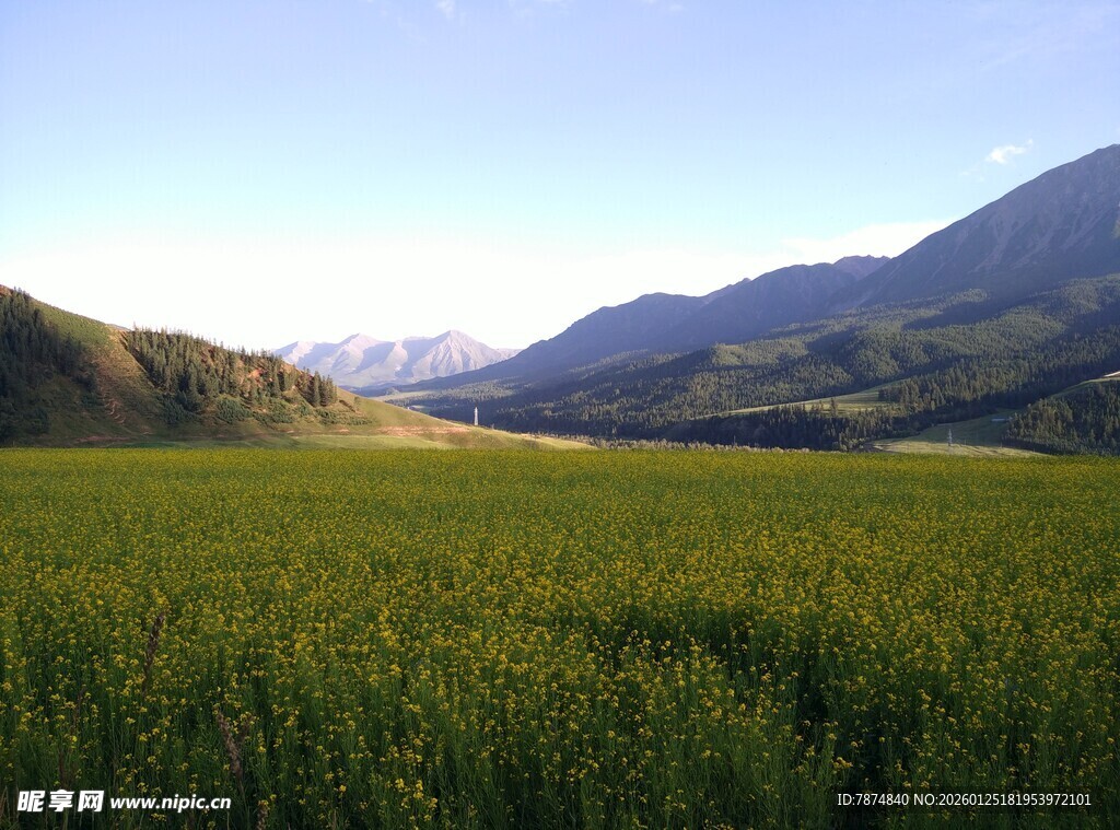 广袤田野与远处山峦风光