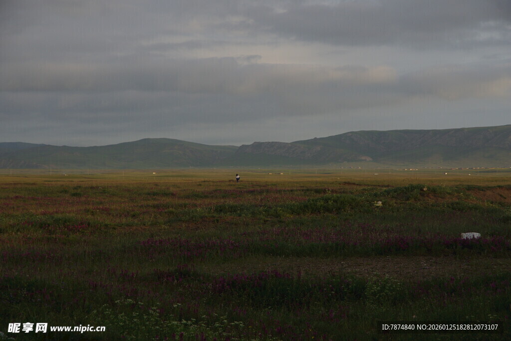 黄昏下的草原与远山景色