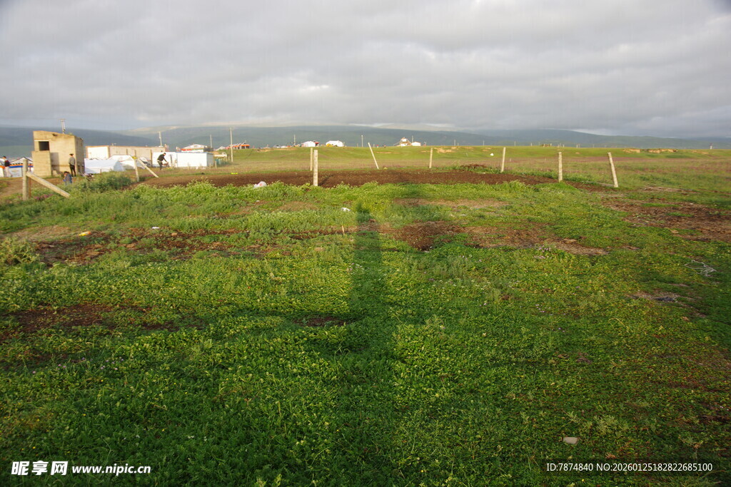 草原风光 远处小屋与围栏