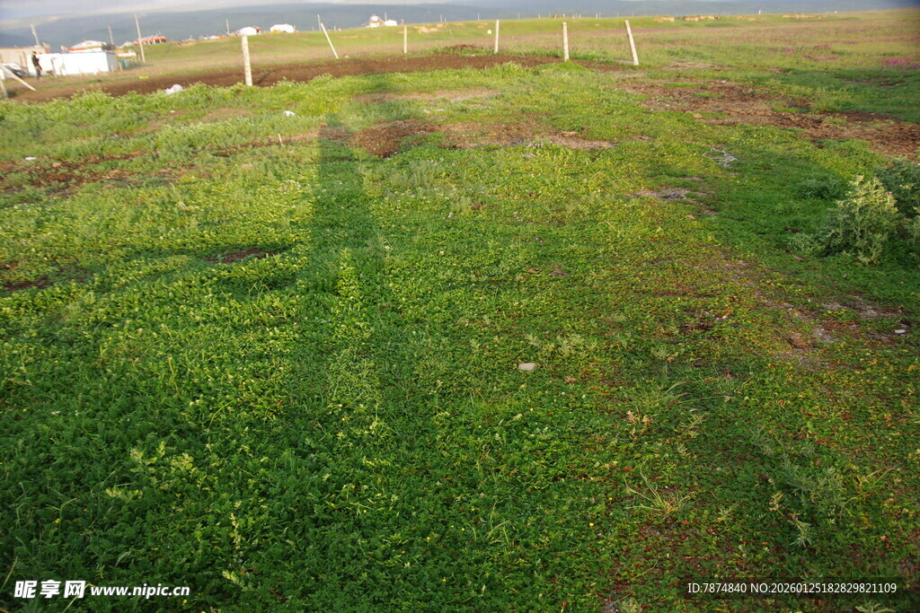 广袤绿野田园风光